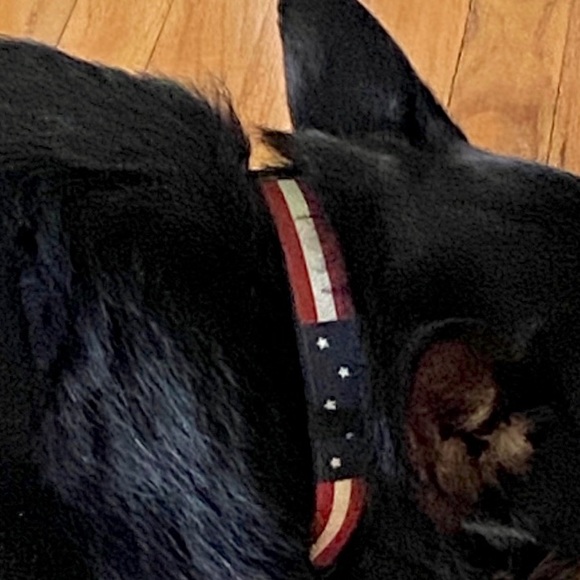 Dog Collar PAW PAWS "Flag" Size Large - Picture 5 of 5